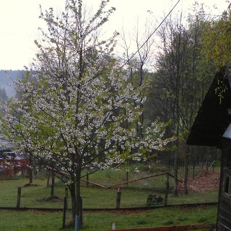 Haus Sonnentau Apartman Monschau Kültér fotó