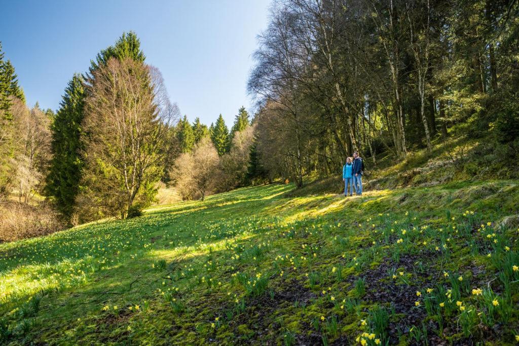 Haus Sonnentau Apartman Monschau Kültér fotó